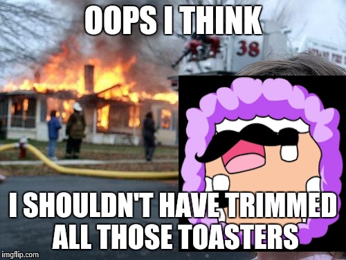 Disaster Girl | OOPS I THINK; I SHOULDN'T HAVE TRIMMED ALL THOSE TOASTERS | image tagged in memes,disaster girl | made w/ Imgflip meme maker