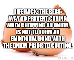 Life lessons 101 | LIFE HACK: THE BEST WAY TO PREVENT CRYING WHEN CHOPPING AN ONION, IS NOT TO FORM AN EMOTIONAL BOND WITH THE ONION PRIOR TO CUTTING. | image tagged in onions,life hack,memes,funny memes | made w/ Imgflip meme maker