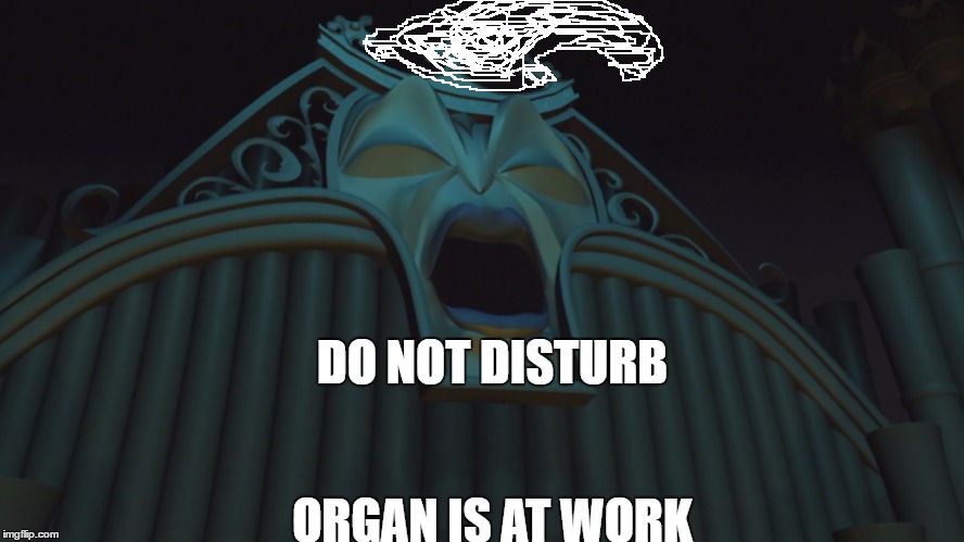 Shhhh.  | DO NOT DISTURB; ORGAN IS AT WORK | image tagged in maestro,sleeping | made w/ Imgflip meme maker