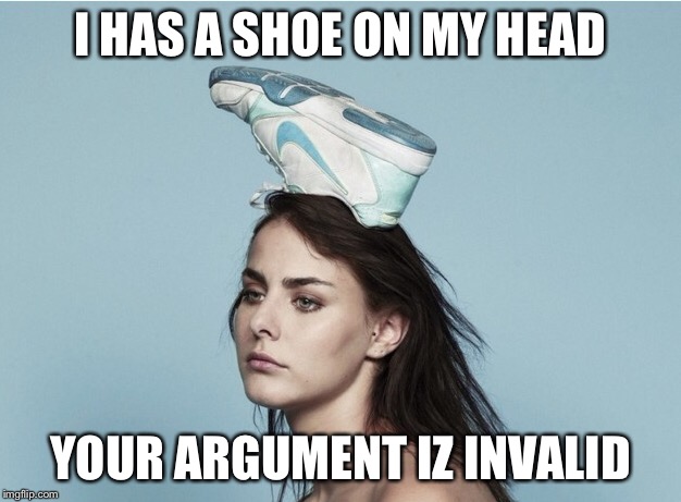 I HAS A SHOE ON MY HEAD; YOUR ARGUMENT IZ INVALID | made w/ Imgflip meme maker
