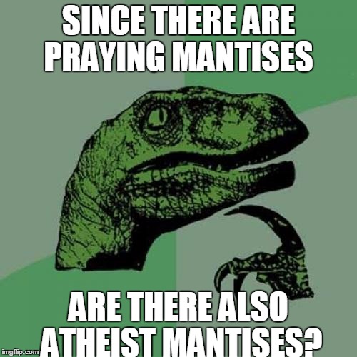 Philosoraptor Meme | SINCE THERE ARE PRAYING MANTISES; ARE THERE ALSO ATHEIST MANTISES? | image tagged in memes,philosoraptor | made w/ Imgflip meme maker