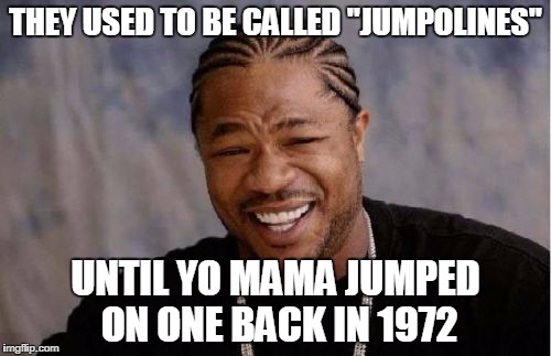 Yo Dawg Heard You | THEY USED TO BE CALLED "JUMPOLINES"; UNTIL YO MAMA JUMPED ON ONE BACK IN 1972 | image tagged in memes,yo dawg heard you | made w/ Imgflip meme maker