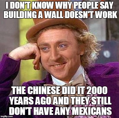 Creepy Condescending Wonka Meme | I DON'T KNOW WHY PEOPLE SAY BUILDING A WALL DOESN'T WORK; THE CHINESE DID IT 2000 YEARS AGO AND THEY STILL DON'T HAVE ANY MEXICANS | image tagged in memes,creepy condescending wonka | made w/ Imgflip meme maker