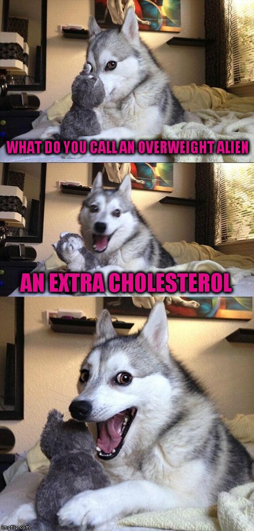 Bad Pun Dog Meme |  WHAT DO YOU CALL AN OVERWEIGHT ALIEN; AN EXTRA CHOLESTEROL | image tagged in memes,bad pun dog | made w/ Imgflip meme maker