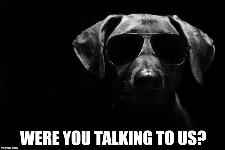 WERE YOU TALKING TO US? | made w/ Imgflip meme maker