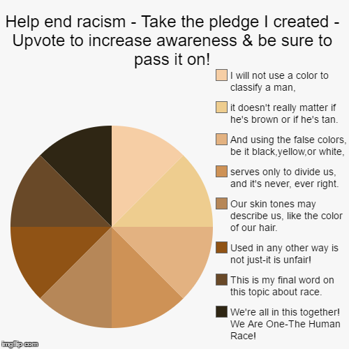 No one's White or Black...There is no "Us" or "Them"...Better Together! | image tagged in pie charts,racism,race,awareness,problem solving | made w/ Imgflip chart maker
