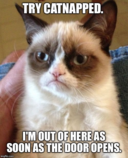 Grumpy Cat Meme | TRY CATNAPPED. I'M OUT OF HERE AS SOON AS THE DOOR OPENS. | image tagged in memes,grumpy cat | made w/ Imgflip meme maker