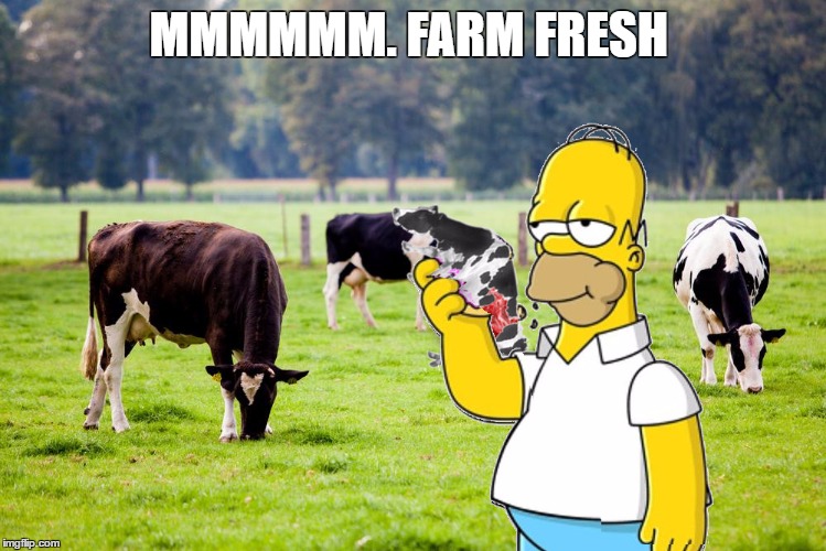 mmmmmm. protein  | MMMMMM. FARM FRESH | image tagged in memes,homer simpson,meat,burger,protein | made w/ Imgflip meme maker