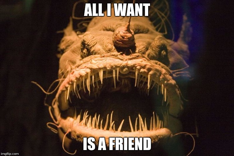 Needs some love | ALL I WANT; IS A FRIEND | image tagged in fish,angler fish,scary fish,friend,scary | made w/ Imgflip meme maker