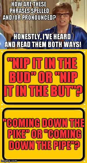 Please help, and feel free to add your own phrases! | HOW ARE THESE PHRASES SPELLED AND/OR PRONOUNCED? HONESTLY, I'VE HEARD AND READ THEM BOTH WAYS! "NIP IT IN THE BUD" OR "NIP IT IN THE BUT"? "COMING DOWN THE PIKE" OR "COMING DOWN THE PIPE"? | image tagged in austin powers honestly,phrases | made w/ Imgflip meme maker