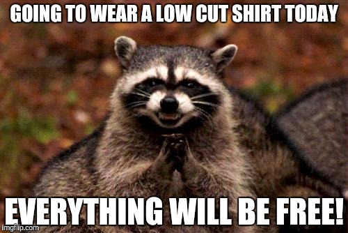 Evil Plotting Raccoon | GOING TO WEAR A LOW CUT SHIRT TODAY; EVERYTHING WILL BE FREE! | image tagged in memes,evil plotting raccoon | made w/ Imgflip meme maker