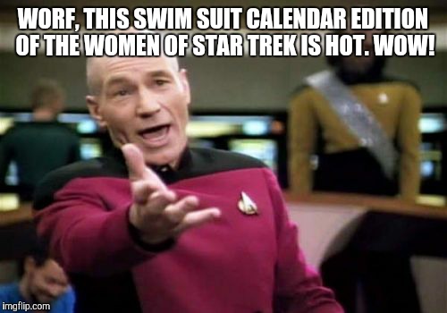 Picard Wtf | WORF, THIS SWIM SUIT CALENDAR EDITION OF THE WOMEN OF STAR TREK IS HOT. WOW! | image tagged in memes,picard wtf | made w/ Imgflip meme maker