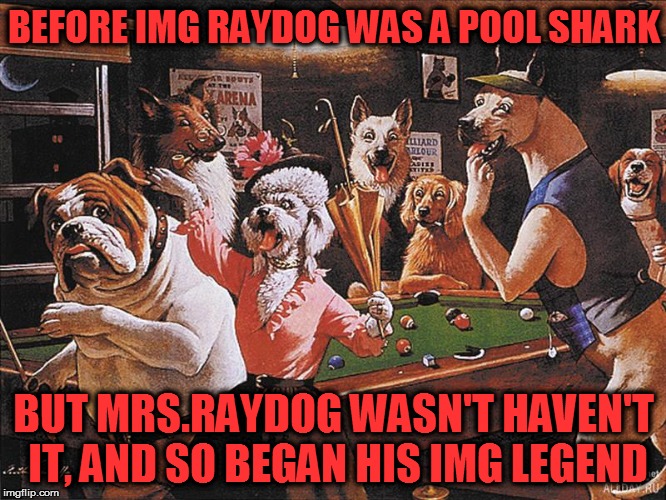 A look at the life of raydog before img | BEFORE IMG RAYDOG WAS A POOL SHARK; BUT MRS.RAYDOG WASN'T HAVEN'T IT, AND SO BEGAN HIS IMG LEGEND | image tagged in raydog,funny meme,pulp art,pulp art week,fiction,cartoon | made w/ Imgflip meme maker