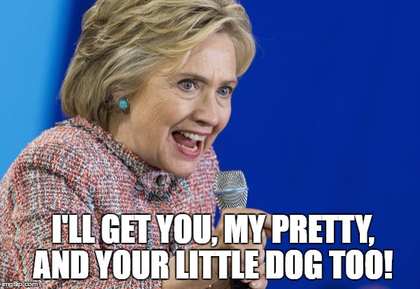 I'll get you!! | I'LL GET YOU, MY PRETTY, AND YOUR LITTLE DOG TOO! | image tagged in hillary clinton | made w/ Imgflip meme maker