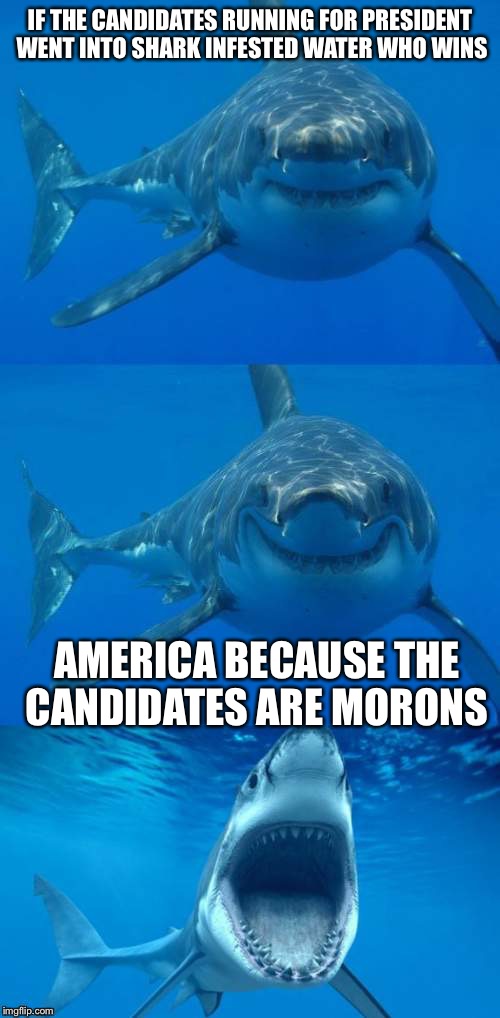 Bad Shark Pun  | IF THE CANDIDATES RUNNING FOR PRESIDENT WENT INTO SHARK INFESTED WATER WHO WINS; AMERICA BECAUSE THE CANDIDATES ARE MORONS | image tagged in bad shark pun | made w/ Imgflip meme maker