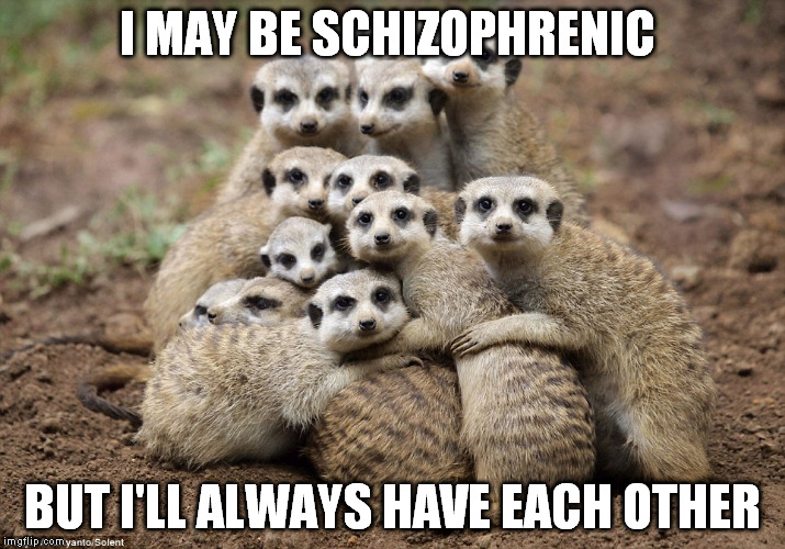 silver linings - probably mercury | I MAY BE SCHIZOPHRENIC; BUT I'LL ALWAYS HAVE EACH OTHER | image tagged in bright side,bffs,frenemies | made w/ Imgflip meme maker