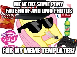 MLG Pony | ME NEEDZ SOME PONY FACE HOOF AND CMC PHOTOS; FOR MY MEME TEMPLATES! | image tagged in mlg pony | made w/ Imgflip meme maker