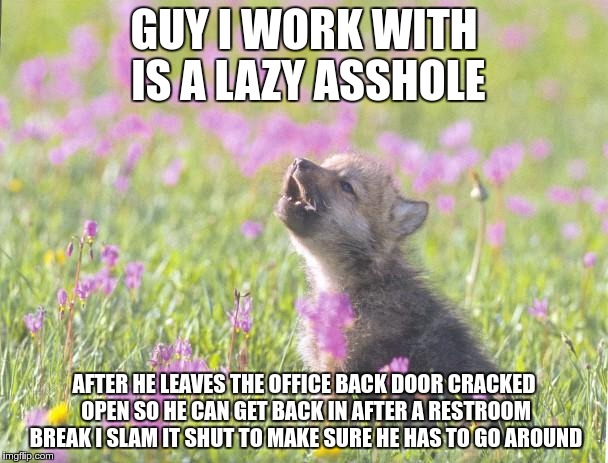 Baby Insanity Wolf Meme | GUY I WORK WITH IS A LAZY ASSHOLE; AFTER HE LEAVES THE OFFICE BACK DOOR CRACKED OPEN SO HE CAN GET BACK IN AFTER A RESTROOM BREAK I SLAM IT SHUT TO MAKE SURE HE HAS TO GO AROUND | image tagged in memes,baby insanity wolf | made w/ Imgflip meme maker