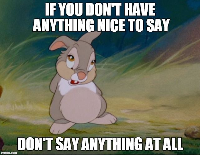 Thumper | IF YOU DON'T HAVE ANYTHING NICE TO SAY; DON'T SAY ANYTHING AT ALL | image tagged in thumper | made w/ Imgflip meme maker