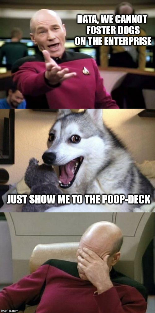 The Final Pun-tier | DATA, WE CANNOT FOSTER DOGS ON THE ENTERPRISE; JUST SHOW ME TO THE POOP-DECK | image tagged in picard,bad pun dog,captain picard facepalm | made w/ Imgflip meme maker