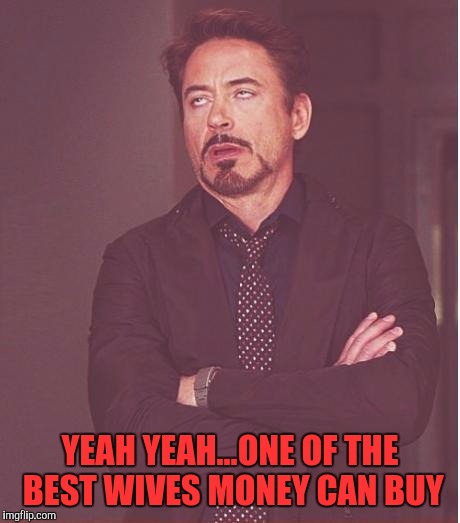 Face You Make Robert Downey Jr Meme | YEAH YEAH...ONE OF THE BEST WIVES MONEY CAN BUY | image tagged in memes,face you make robert downey jr | made w/ Imgflip meme maker
