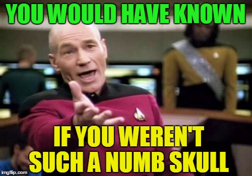 Picard Wtf Meme | YOU WOULD HAVE KNOWN IF YOU WEREN'T SUCH A NUMB SKULL | image tagged in memes,picard wtf | made w/ Imgflip meme maker