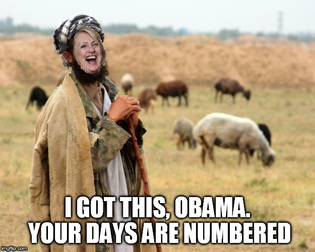 Hillary Sheep Herder | I GOT THIS, OBAMA. YOUR DAYS ARE NUMBERED | image tagged in hillary sheep herder | made w/ Imgflip meme maker