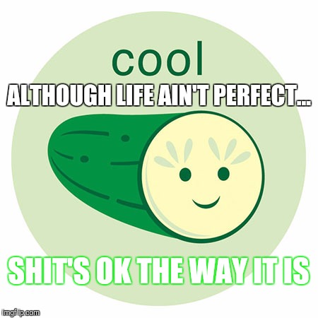 Everything's OK | ALTHOUGH LIFE AIN'T PERFECT... SHIT'S OK THE WAY IT IS | image tagged in everything is awesome | made w/ Imgflip meme maker