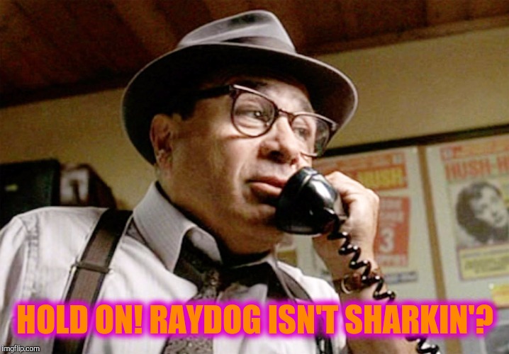 HOLD ON! RAYDOG ISN'T SHARKIN'? | made w/ Imgflip meme maker