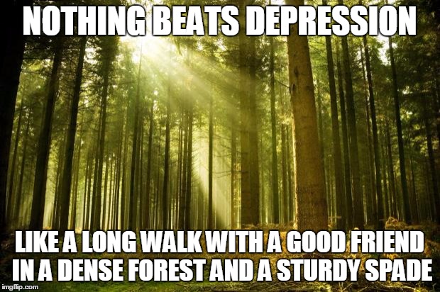 It helps if they have calloused hands and solid work ethic. | NOTHING BEATS DEPRESSION; LIKE A LONG WALK WITH A GOOD FRIEND IN A DENSE FOREST AND A STURDY SPADE | image tagged in depression,funny,meme,demotivationals,spade | made w/ Imgflip meme maker