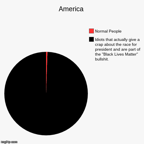 image tagged in funny,pie charts | made w/ Imgflip chart maker