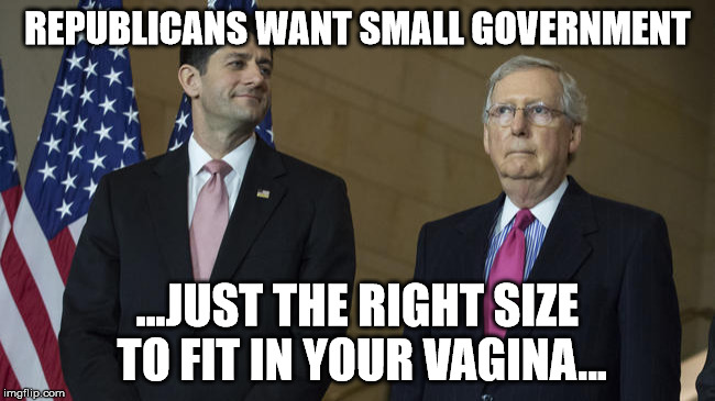 REPUBLICANS WANT SMALL GOVERNMENT ...JUST THE RIGHT SIZE TO FIT IN YOUR VA**NA... | made w/ Imgflip meme maker