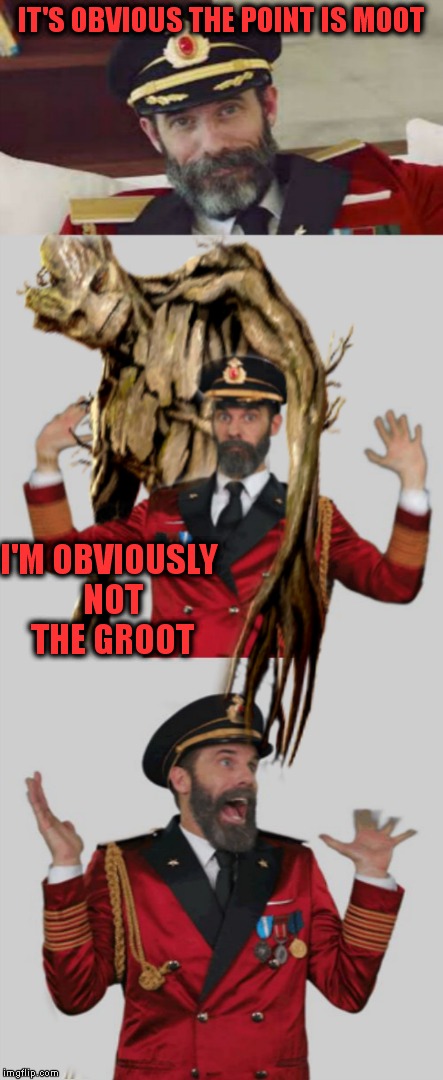groot! | IT'S OBVIOUS THE POINT IS MOOT; I'M OBVIOUSLY NOT THE GROOT | image tagged in captain obvious,groot | made w/ Imgflip meme maker