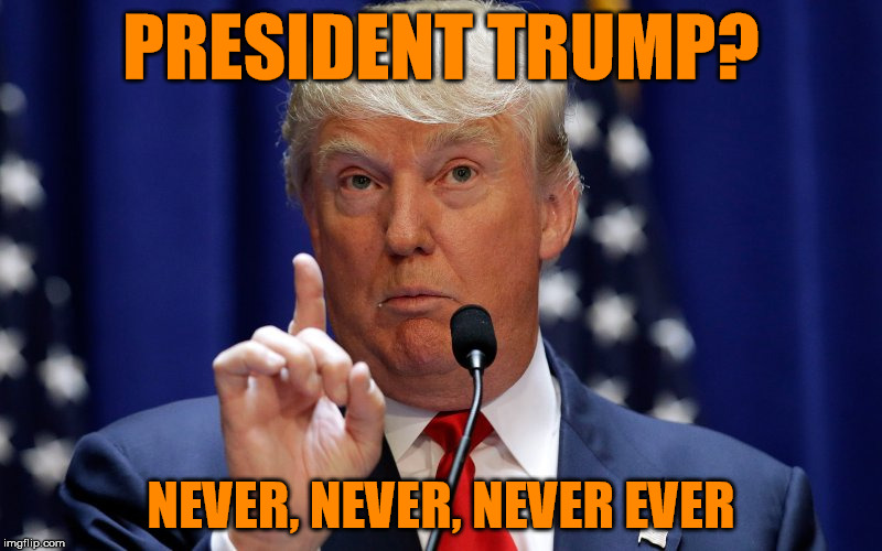 Mark My Words... | PRESIDENT TRUMP? NEVER, NEVER, NEVER EVER | image tagged in donald trump,nevertrump | made w/ Imgflip meme maker