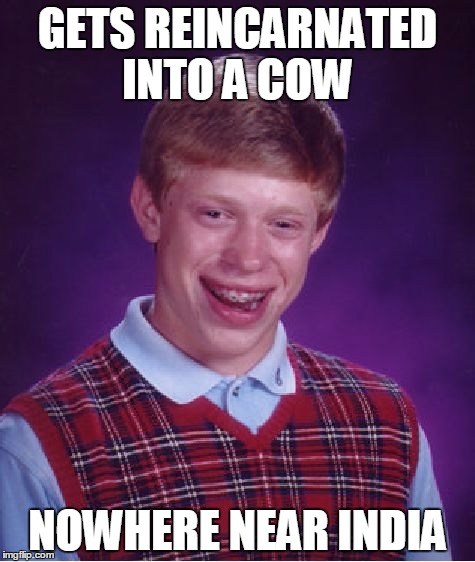 Bad Luck Brian Meme | GETS REINCARNATED INTO A COW; NOWHERE NEAR INDIA | image tagged in memes,bad luck brian | made w/ Imgflip meme maker
