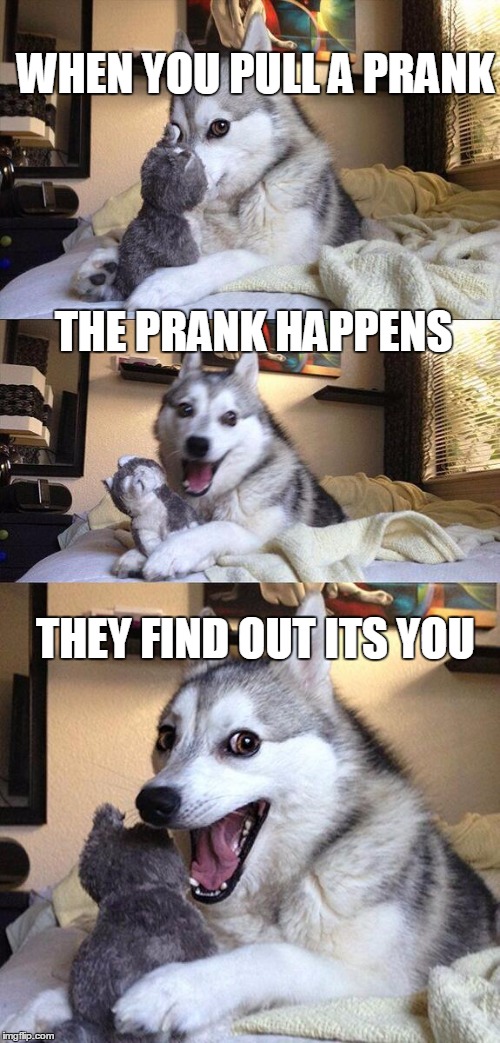 Bad Pun Dog Meme | WHEN YOU PULL A PRANK; THE PRANK HAPPENS; THEY FIND OUT ITS YOU | image tagged in memes,bad pun dog | made w/ Imgflip meme maker