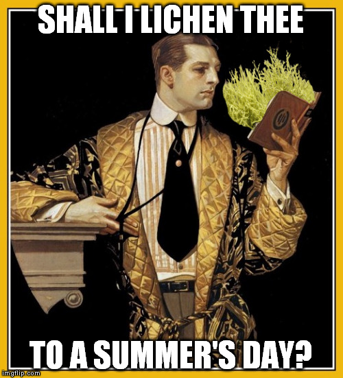 SHALL I LICHEN THEE TO A SUMMER'S DAY? | made w/ Imgflip meme maker