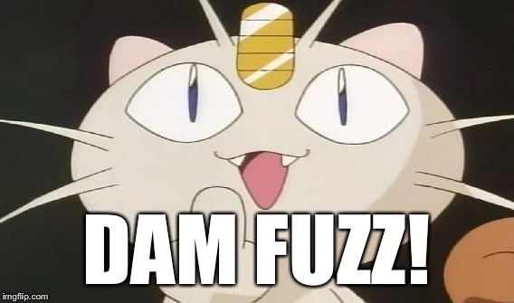 DAM FUZZ! | made w/ Imgflip meme maker