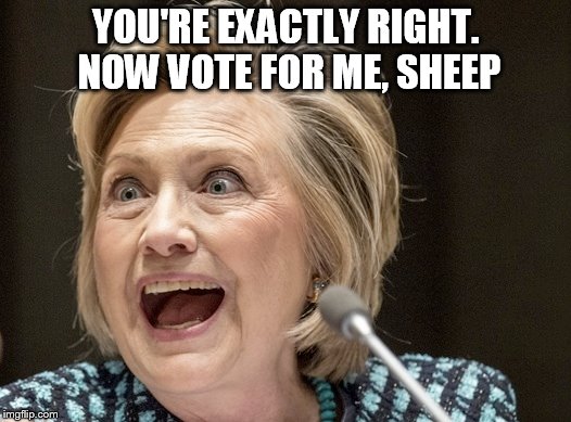 YOU'RE EXACTLY RIGHT. NOW VOTE FOR ME, SHEEP | made w/ Imgflip meme maker