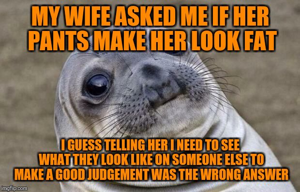 Awkward Moment Sealion | MY WIFE ASKED ME IF HER PANTS MAKE HER LOOK FAT; I GUESS TELLING HER I NEED TO SEE WHAT THEY LOOK LIKE ON SOMEONE ELSE TO MAKE A GOOD JUDGEMENT WAS THE WRONG ANSWER | image tagged in memes,awkward moment sealion | made w/ Imgflip meme maker