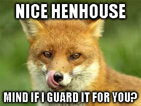 fox | NICE HENHOUSE; MIND IF I GUARD IT FOR YOU? | image tagged in fox | made w/ Imgflip meme maker