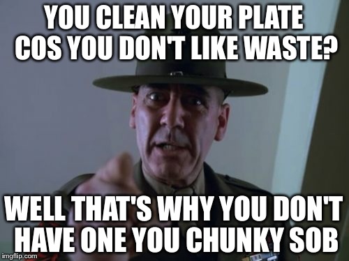 Sergeant Hartmann | YOU CLEAN YOUR PLATE COS YOU DON'T LIKE WASTE? WELL THAT'S WHY YOU DON'T HAVE ONE YOU CHUNKY SOB | image tagged in memes,sergeant hartmann | made w/ Imgflip meme maker