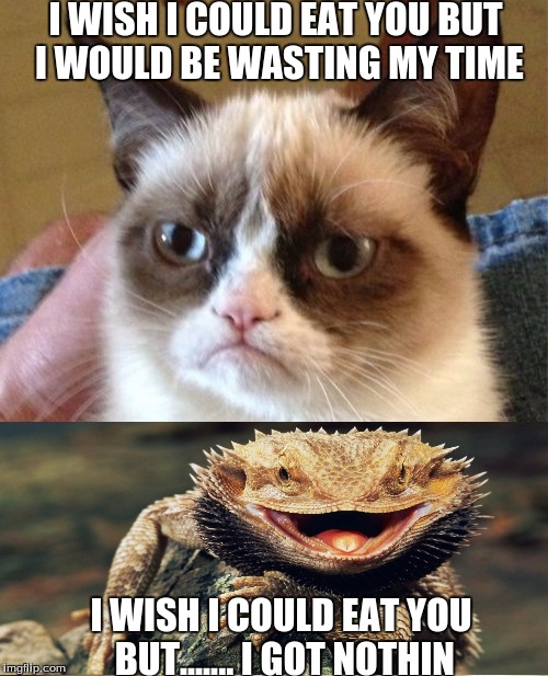 Grumpy Cat Meme | I WISH I COULD EAT YOU BUT I WOULD BE WASTING MY TIME; I WISH I COULD EAT YOU BUT.......
I GOT NOTHIN | image tagged in memes,grumpy cat | made w/ Imgflip meme maker