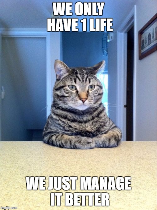 No not 9 lives | WE ONLY HAVE 1 LIFE; WE JUST MANAGE IT BETTER | image tagged in memes,take a seat cat | made w/ Imgflip meme maker