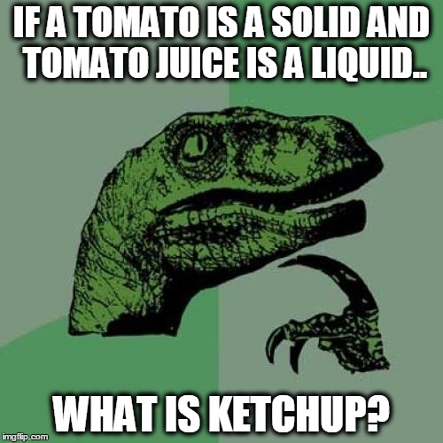 Philosoraptor | IF A TOMATO IS A SOLID AND TOMATO JUICE IS A LIQUID.. WHAT IS KETCHUP? | image tagged in memes,philosoraptor | made w/ Imgflip meme maker