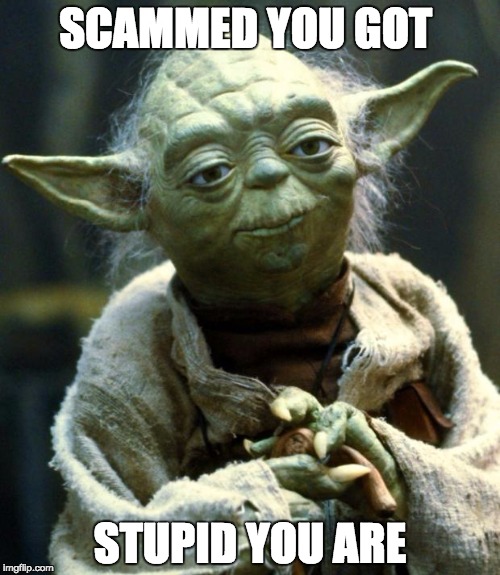 Star Wars Yoda Meme | SCAMMED YOU GOT; STUPID YOU ARE | image tagged in memes,star wars yoda | made w/ Imgflip meme maker