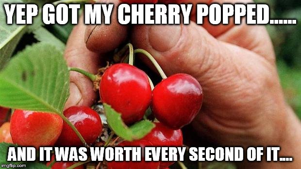 Cherry Picker | YEP GOT MY CHERRY POPPED...... AND IT WAS WORTH EVERY SECOND OF IT.... | image tagged in cherry picker | made w/ Imgflip meme maker