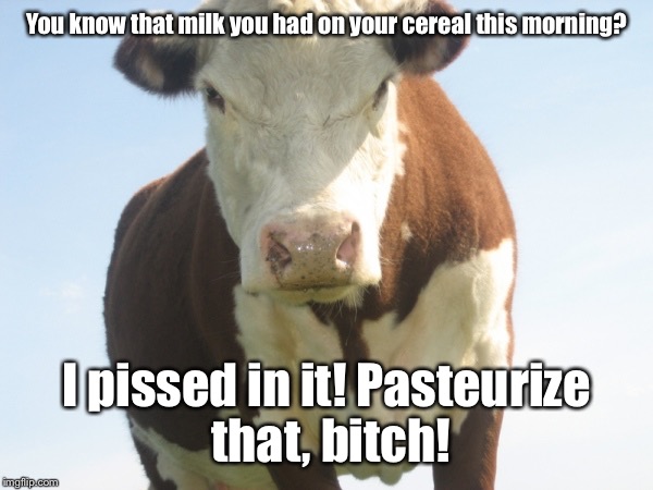 You know that milk you had on your cereal this morning? I pissed in it! Pasteurize that, bitch! | made w/ Imgflip meme maker