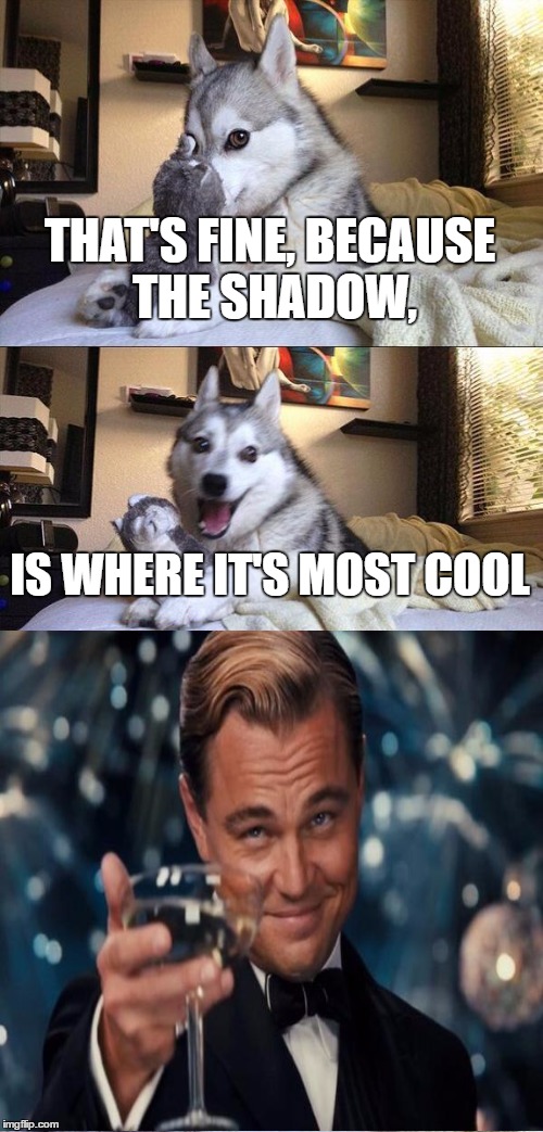 Bad Pun Dog Meme | THAT'S FINE, BECAUSE THE SHADOW, IS WHERE IT'S MOST COOL | image tagged in memes,bad pun dog | made w/ Imgflip meme maker