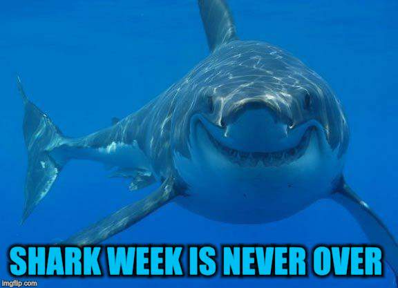 SHARK WEEK IS NEVER OVER | made w/ Imgflip meme maker